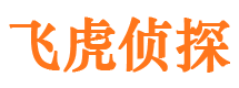 山海关侦探社